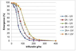 Figure 2. Effect on time until incorporation, trifluralin application rate (g/ha) and UV exposure on the mean emergence of annual ryegrass (of 25 seeds sown), in an alkaline sandy soil.