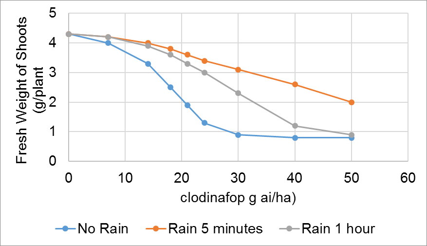 Figure 2. Effect of rain and application rate on the fresh weight of oats sprayed with clodinafop applied without adjuvant.