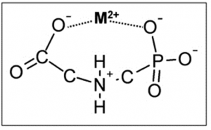 Figure 1.  A metal ion (designated M2+), such as calcium, binds to two negative charges on a glyphosate molecule (Courtesy of the University of Nebraska – Lincoln). 