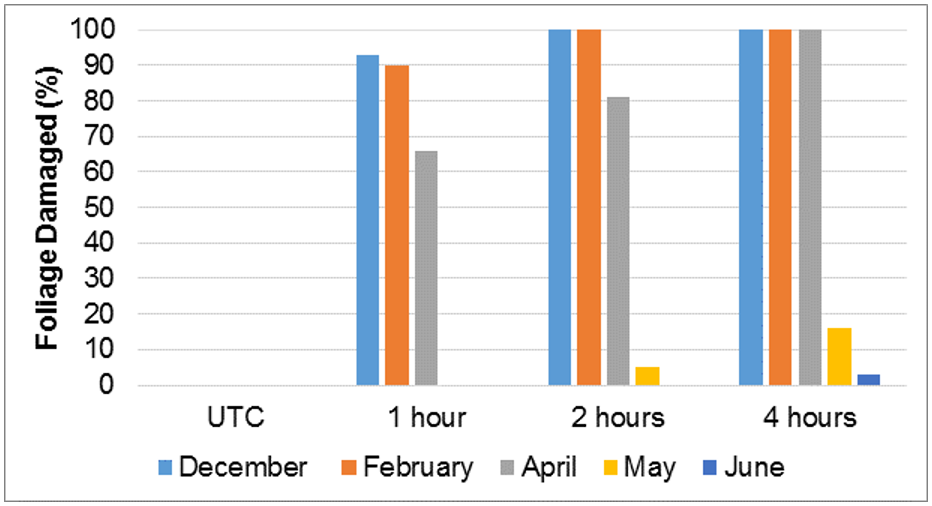 Figure 3. Comparison of the rate of onset of symptoms (in hours after spraying) from a 16 g glyphosate acid (gly) + 21 g nonanoic acid RTU at different times of the year. The UTC is an untreated control.
